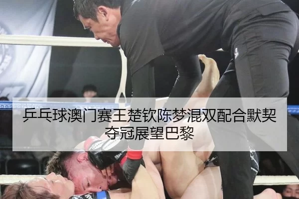 乒乓球澳门赛王楚钦陈梦混双配合默契夺冠展望巴黎