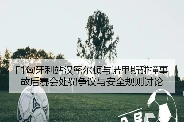 F1匈牙利站汉密尔顿与诺里斯碰撞事故后赛会处罚争议与安全规则讨论